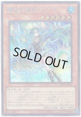 耀聖の波詩ディーナ Secret