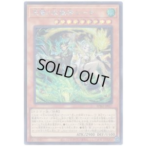 画像1: 天雷ノ双風神 シーナ Secret