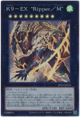 K9-EX “Ripper/M” Super