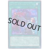 エクソシスター・バト・マーテル Secret