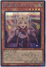 教導の聖女エクレシア Secret