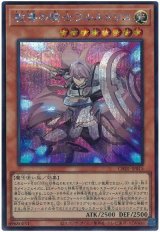 教導の騎士フルルドリス Secret