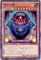 禁忌の壺
