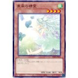 裏風の精霊