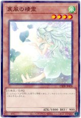 裏風の精霊