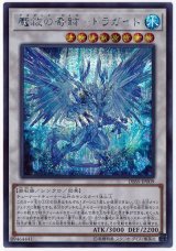 魔救の奇跡－ドラガイト Secret
