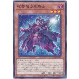夜薔薇の黒騎士