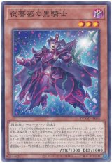 夜薔薇の黒騎士