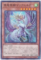 真竜凰騎マリアムネＰ
