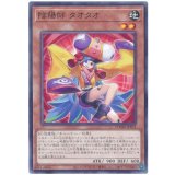 陰陽師 タオタオ