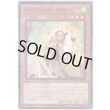 ＷＡＫＥ ＣＵＰ！ マキ N-Rare