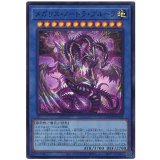 メガリス・ノートラ・プルーラ Super