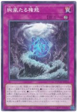 絢嵐たる権能