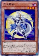 月光銀狗