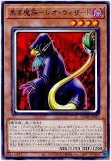 黒き魔族－レオ・ウィザード