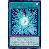 咎を擁く魔瞳 Rare