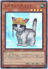 レスキューキャット Super