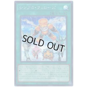 画像1: シンクロ・フェローズ Secret