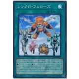 シンクロ・フェローズ Super