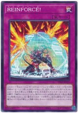 ＲＥＩＮＦＯＲＣＥ！