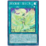 御巫舞踊－迷わし鳥 Super