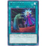 墓穴の指名者 Rare