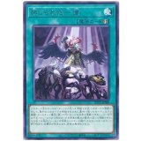 禁じられた一滴 Rare