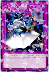 ガトムズの緊急指令