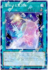 天架ける星因士