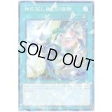 神の写し身との接触