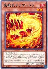 飛龍炎サラマンドラ Rare