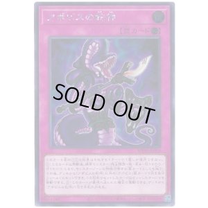 画像1: アポピスの蛇神 Secret