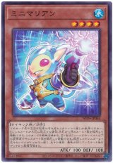 ミニマリアン