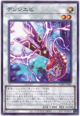 デンジエビ Rare