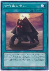 古代亀の呪い