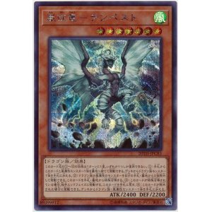 画像: 嵐征竜－テンペスト Secret