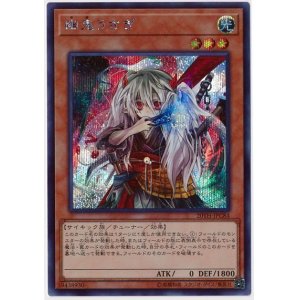 画像: 幽鬼うさぎ Secret
