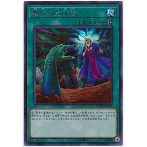 画像: 墓穴の指名者 Secret
