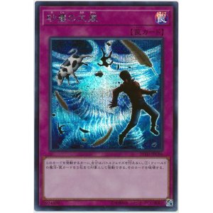 画像: 砂塵の大嵐 Secret