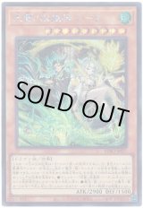 画像: 天雷ノ双風神 シーナ Secret