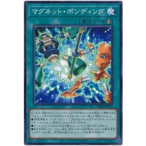 画像: マグネット・ボンディング