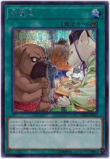 画像: 犬賞金 Secret