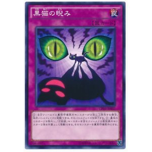 画像: 黒猫の睨み