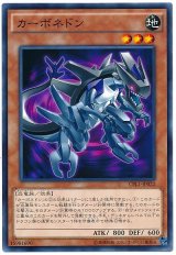 画像: カーボネドン