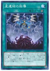 画像: 星遺物の胎導