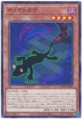 画像: オノマトカゲ