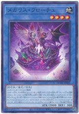 画像: メガリス・フローチュ