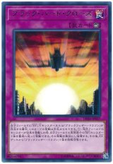 画像: ブラック・バード・クローズ Rare