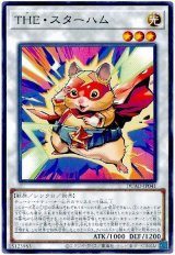 画像: ＴＨＥ・スターハム
