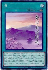画像: 春 N-Rare